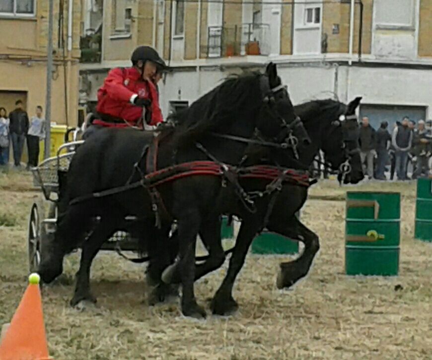 2ª Fase Campeonato Navarra de Enganches